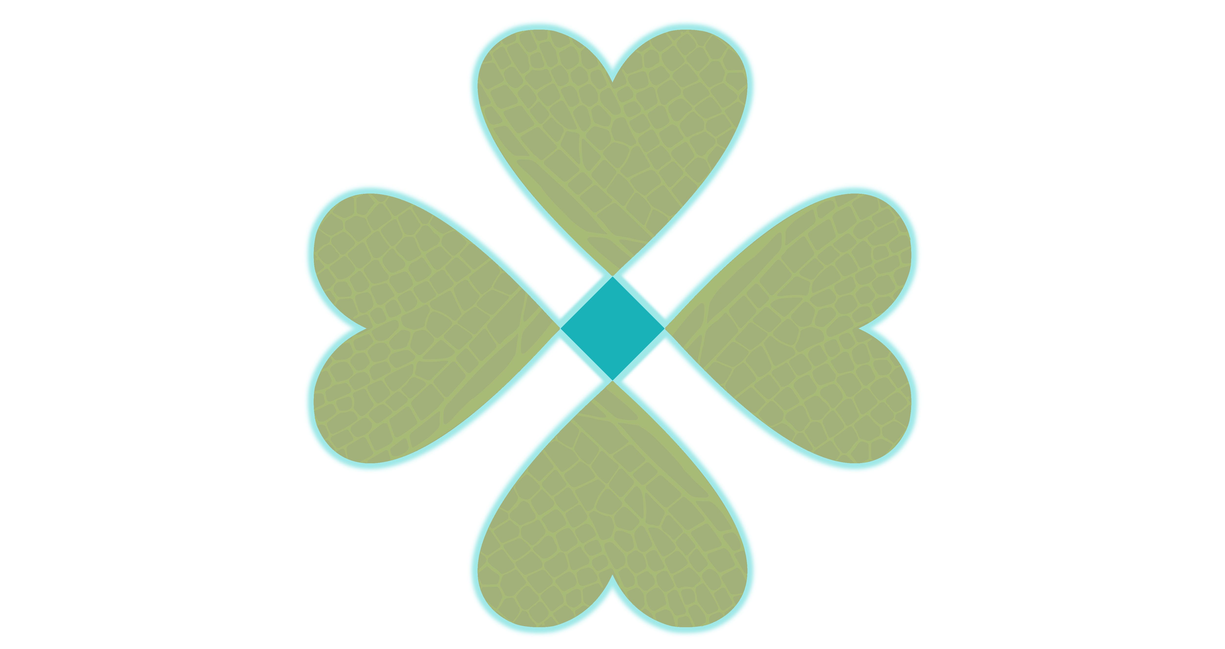 Dragonfly Communications